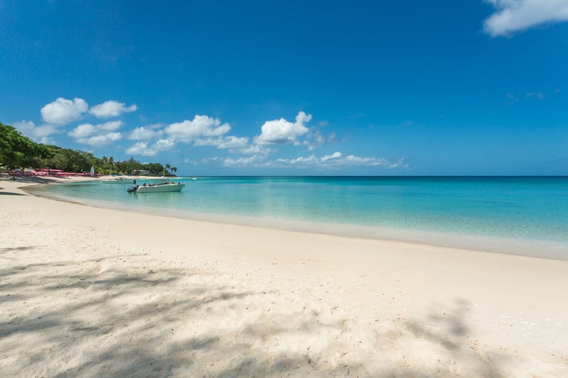 Bluff House and Cottage