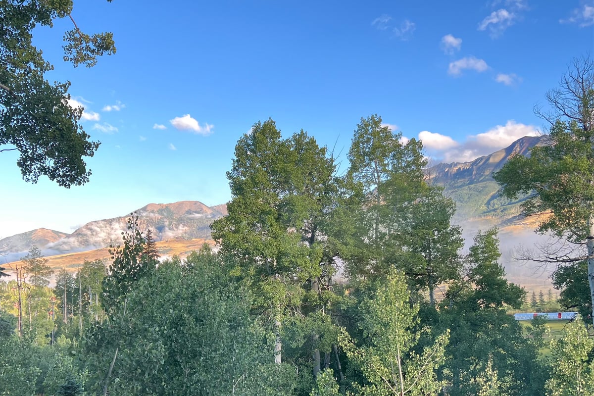 Palisade at Pine Meadows