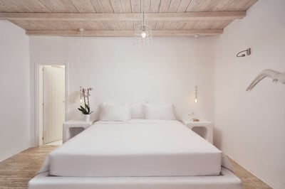 Luxury Villa Photo #38