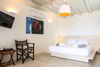 Luxury Villa Photo #18