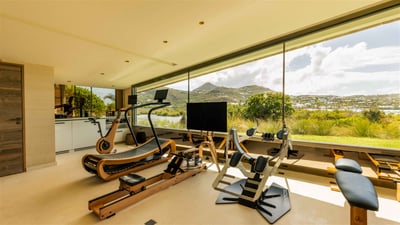 Luxury Villa Photo #60