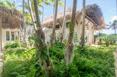 Luxury Villa Photo #5