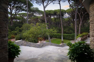 Luxury Villa Photo #16