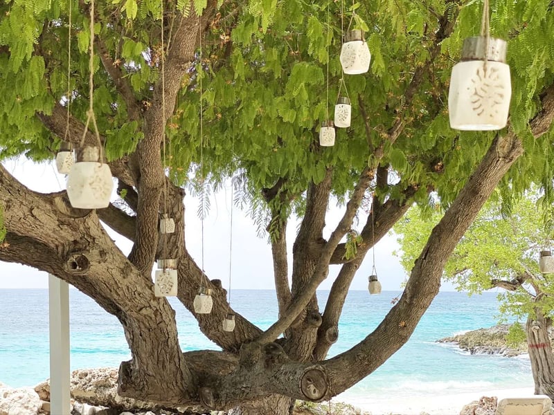 Sandcastle Beach House