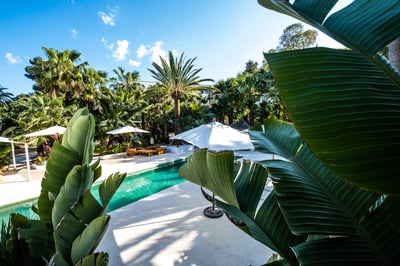 Luxury Villa Photo #3