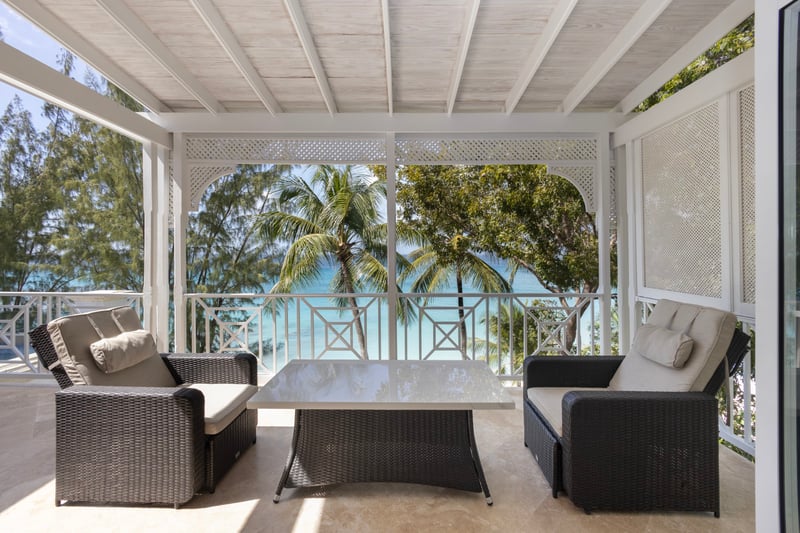 Old Trees 302 | La Mirage