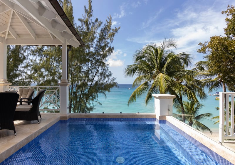 Old Trees 302 | La Mirage