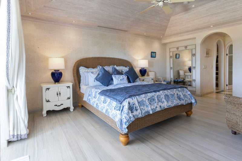 Old Trees 2 | Azzurro