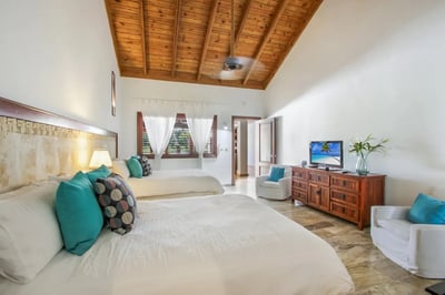 Luxury Villa Photo #23