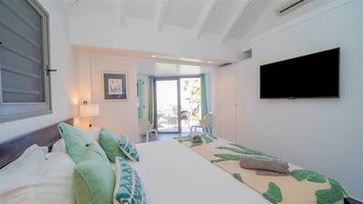 Luxury Villa Photo #40