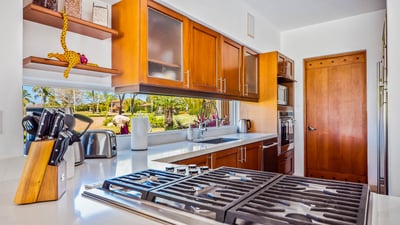 Luxury Villa Photo #14