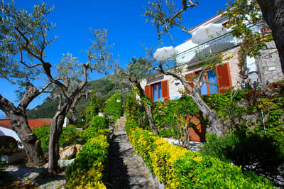 Luxury Villa Photo #18