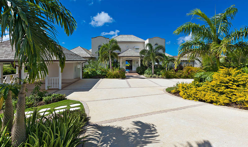 Wild Cane Ridge 5 | Gully's Edge