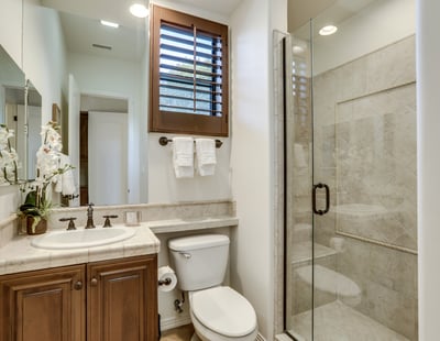 Guest Bedroom 3 en suite bath