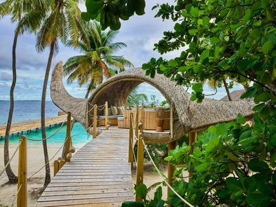 Manta Tree House