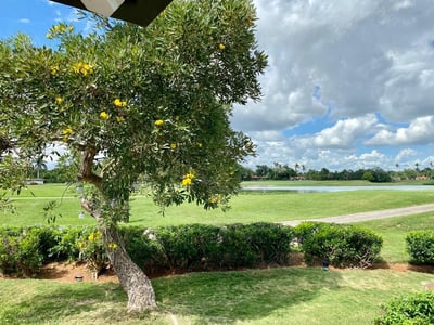 Luxury Villa Photo #7