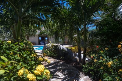 Luxury Villa Photo #7