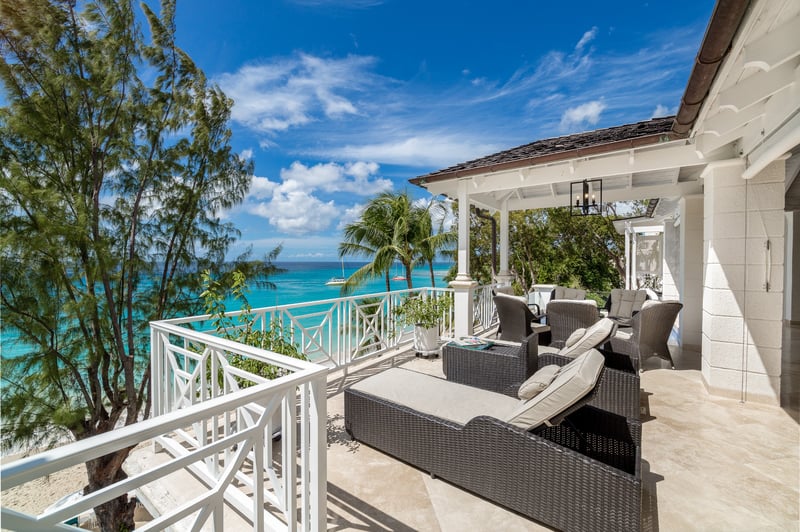 Old Trees 302 | La Mirage