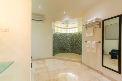 Luxury Villa Photo #34