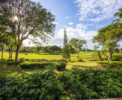 Luxury Villa Photo #14
