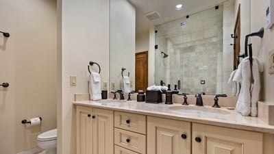 Primary Bathroom on upper level