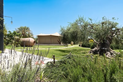 Luxury Villa Photo #65