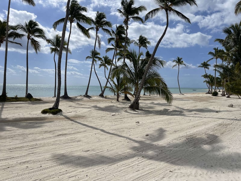 Juanillo 26/27 | Guacamaya