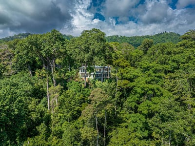 Luxury Villa Photo #59