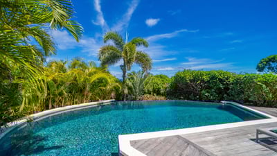 Luxury Villa Photo #3