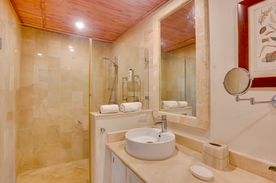 Luxury Villa Photo #90