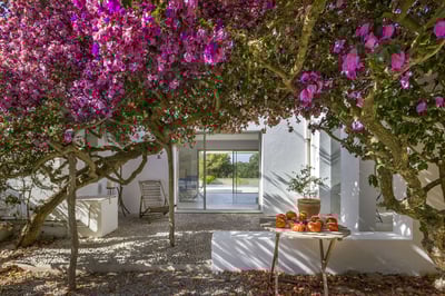 Luxury Villa Photo #6