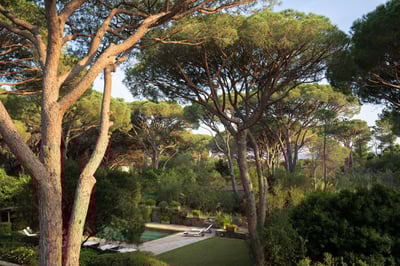 Luxury Villa Photo #9