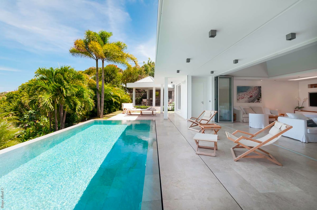 Grand Cul-de-Sac,Palm