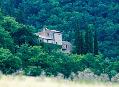 Luxury Villa Photo #4