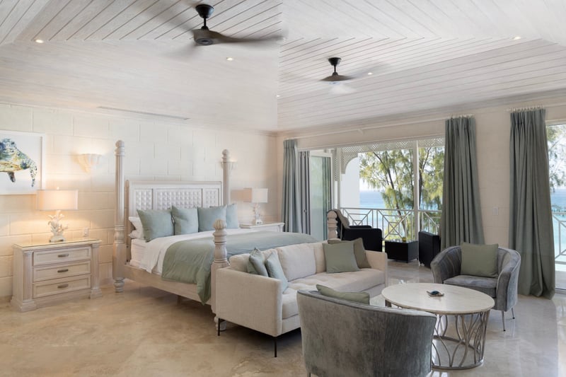 Old Trees 302 | La Mirage