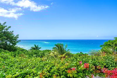 Luxury Villa Photo #44