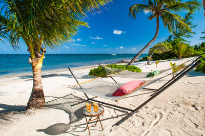 Luxury Villa Photo #3