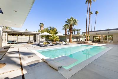 Modern Palms