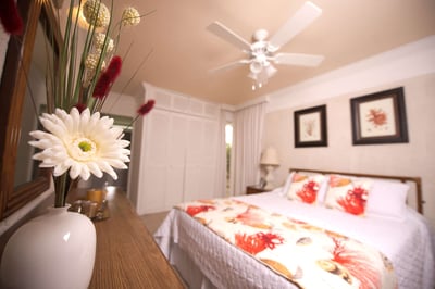 Luxury Villa Photo #12
