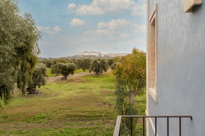 Luxury Villa Photo #4