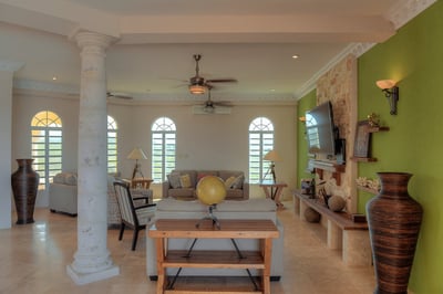 Luxury Villa Photo #6
