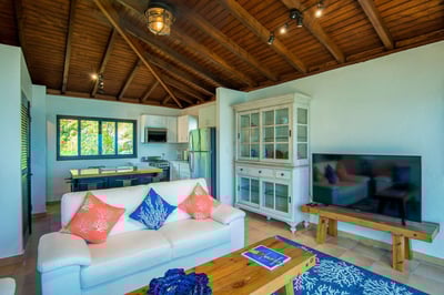 Luxury Villa Photo #32