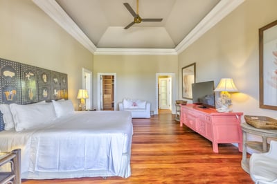 Luxury Villa Photo #39