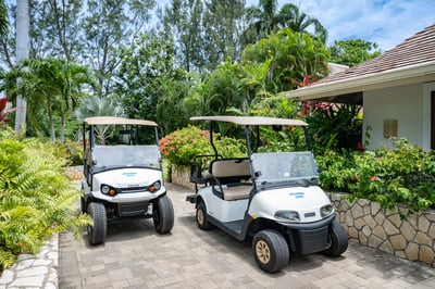 Luxury Villa Photo #18