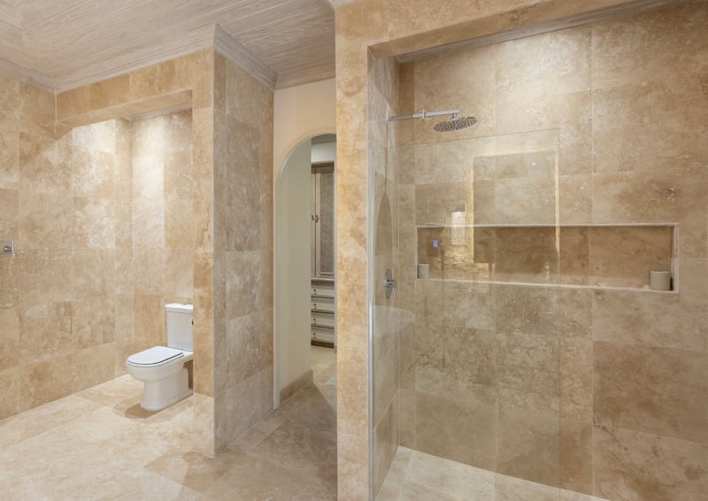 Old Trees 302 | La Mirage