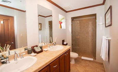 Luxury Villa Photo #15