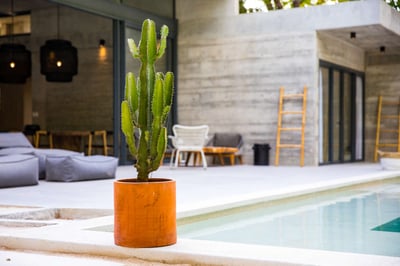 Luxury Villa Photo #7