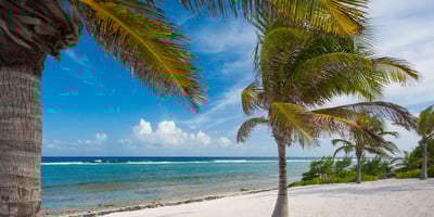 Luxury Villa Photo #9