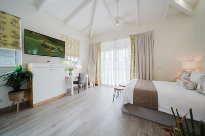 Luxury Villa Photo #43