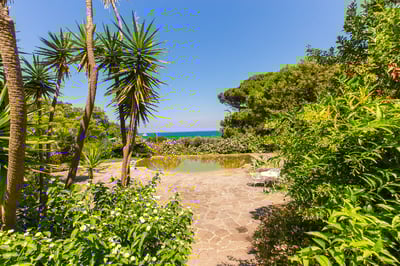 Luxury Villa Photo #9